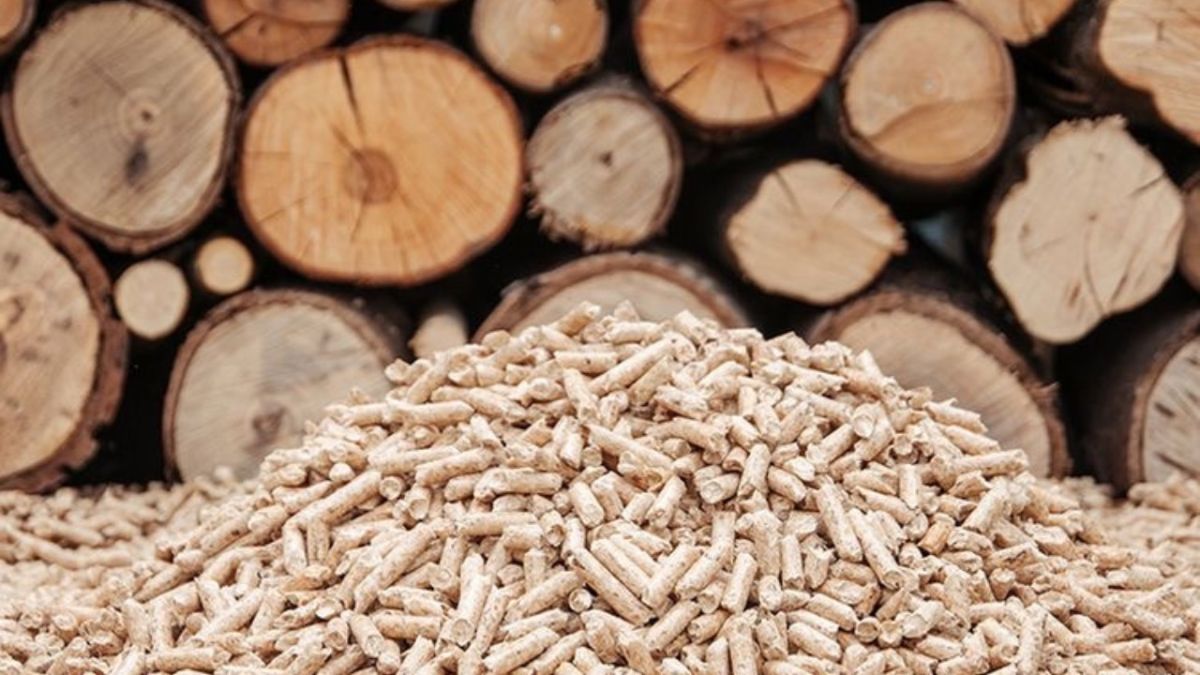 Shubhshree Biofuels Energy Ltd.: Pioneering Sustainable Biofuel Solutions for a Greener Future